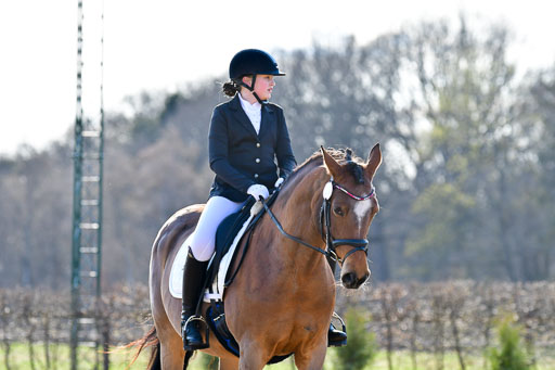 Reitsportzentrum Bremervörde | Dressurreiter WB _043 