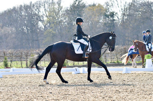 Reitsportzentrum Bremervörde | Dressurreiter WB _049 