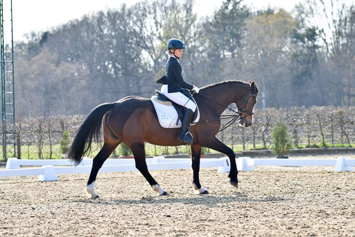 Reitsportzentrum Bremervörde | Dressurreiter WB _051 