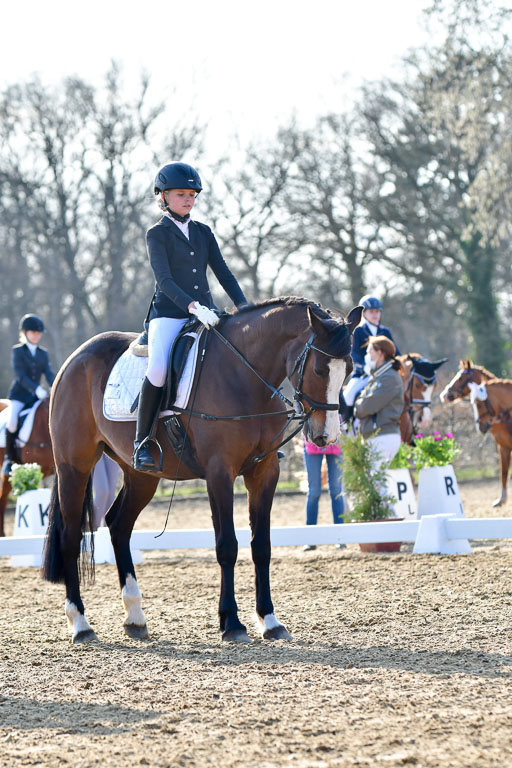 Reitsportzentrum Bremervörde | Dressurreiter WB _058 