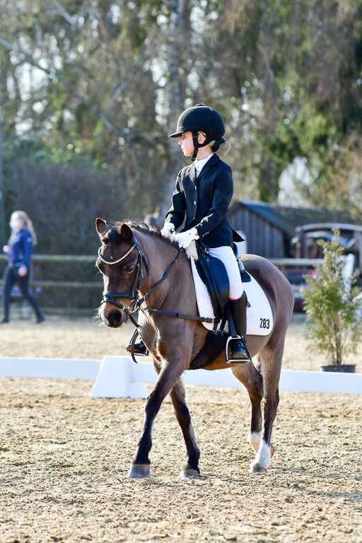 Reitsportzentrum Bremervörde | Dressurreiter WB _060 