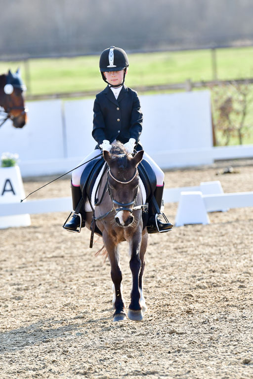 Reitsportzentrum Bremervörde | Dressurreiter WB _062 