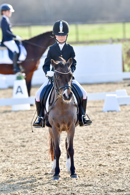 Reitsportzentrum Bremervörde | Dressurreiter WB _064 