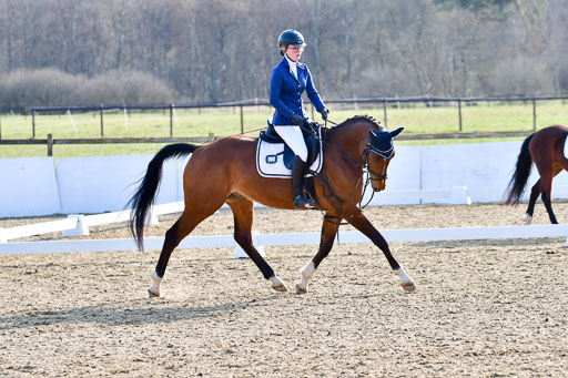 Reitsportzentrum Bremervörde | Dressurreiter WB _066 