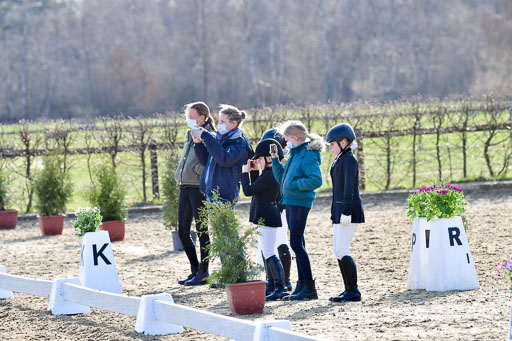 Reitsportzentrum Bremervörde | Dressurreiter WB _067 