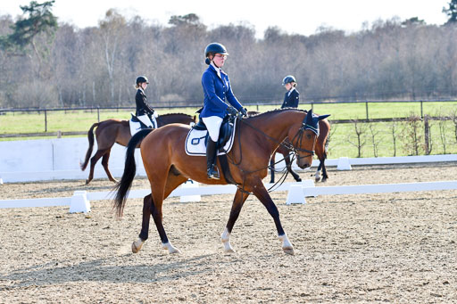 Reitsportzentrum Bremervörde | Dressurreiter WB _068 
