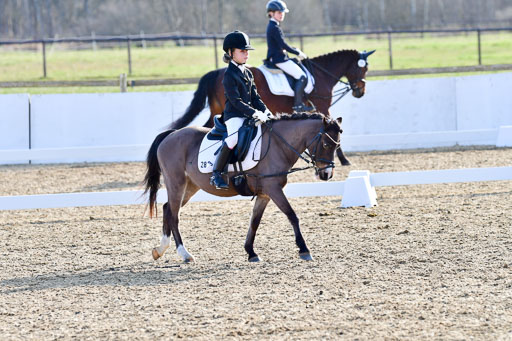 Reitsportzentrum Bremervörde | Dressurreiter WB _069 