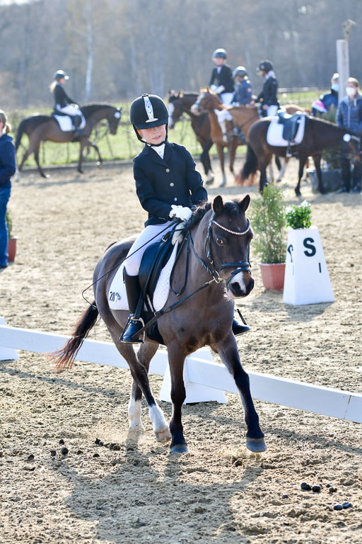 Reitsportzentrum Bremervörde | Dressurreiter WB _070 
