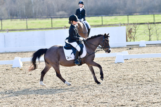 Reitsportzentrum Bremervörde | Dressurreiter WB _072 