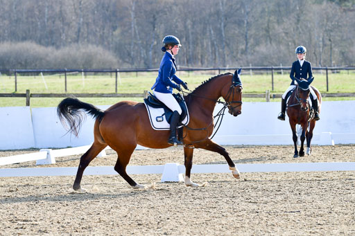 Reitsportzentrum Bremervörde | Dressurreiter WB _073 