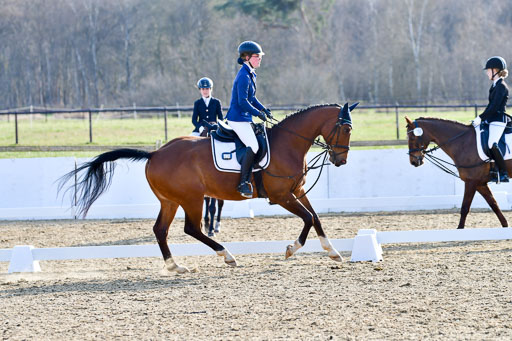 Reitsportzentrum Bremervörde | Dressurreiter WB _074 