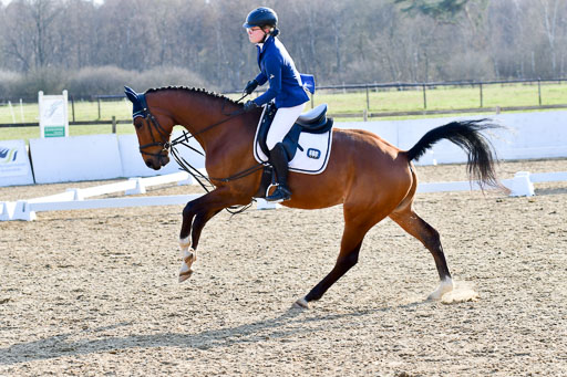Reitsportzentrum Bremervörde | Dressurreiter WB _075 