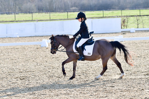 Reitsportzentrum Bremervörde | Dressurreiter WB _076 