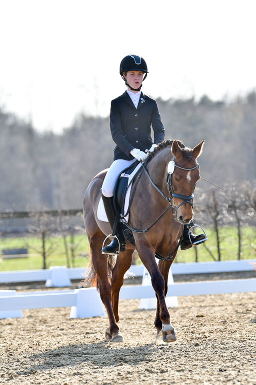 Reitsportzentrum Bremervörde | Dressurreiter WB _078 