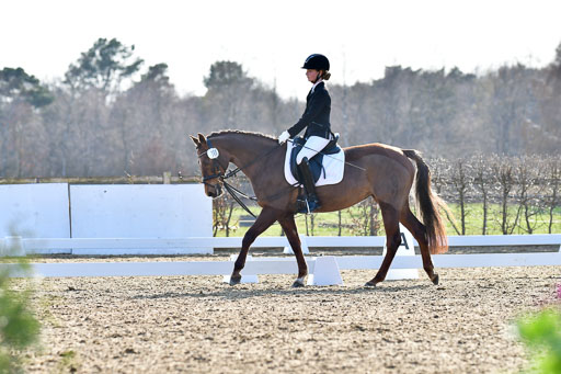 Reitsportzentrum Bremervörde | Dressurreiter WB _083 