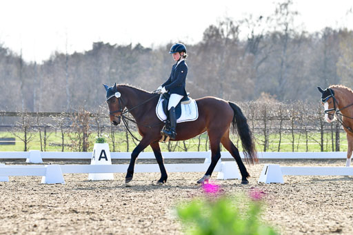 Reitsportzentrum Bremervörde | Dressurreiter WB _084 