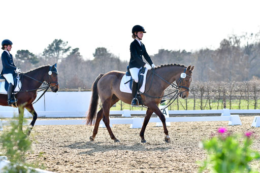 Reitsportzentrum Bremervörde | Dressurreiter WB _085 