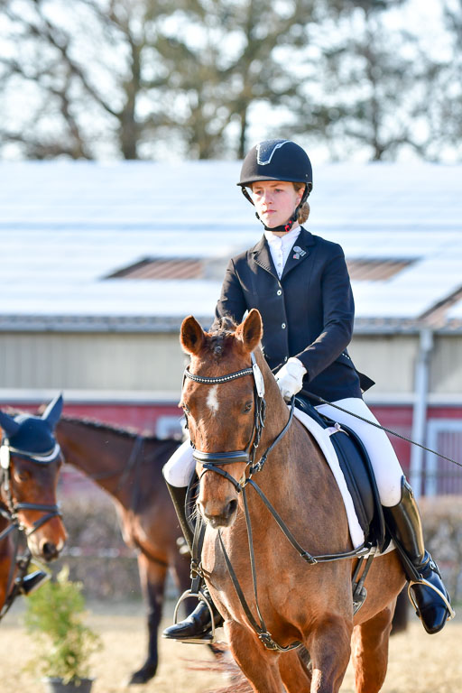 Reitsportzentrum Bremervörde | Dressurreiter WB _086 