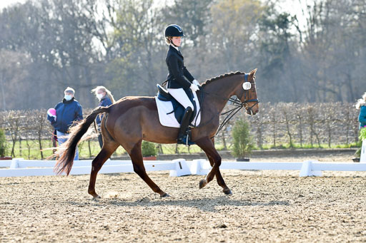 Reitsportzentrum Bremervörde | Dressurreiter WB _088 