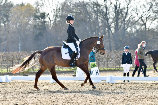 Reitsportzentrum Bremervörde | Dressurreiter WB _089 