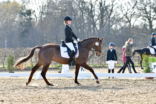 Reitsportzentrum Bremervörde | Dressurreiter WB _090 