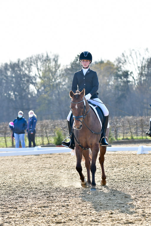 Reitsportzentrum Bremervörde | Dressurreiter WB _096 