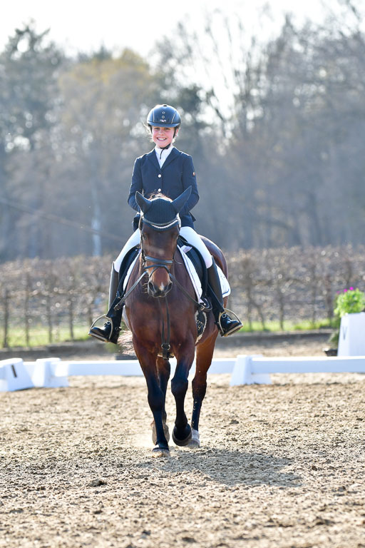 Reitsportzentrum Bremervörde | Dressurreiter WB _097 