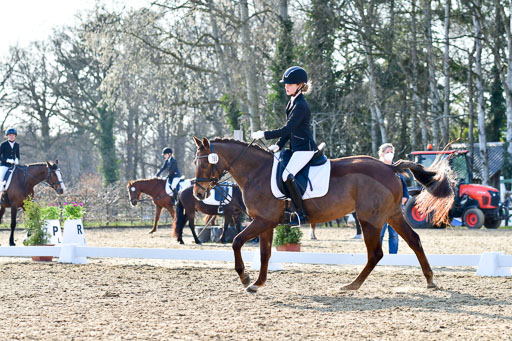 Reitsportzentrum Bremervörde | Dressurreiter WB _098 