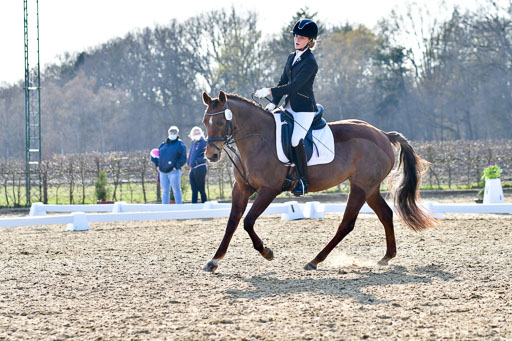 Reitsportzentrum Bremervörde | Dressurreiter WB _100 