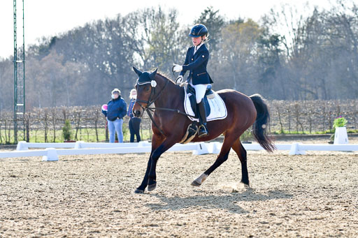 Reitsportzentrum Bremervörde | Dressurreiter WB _101 