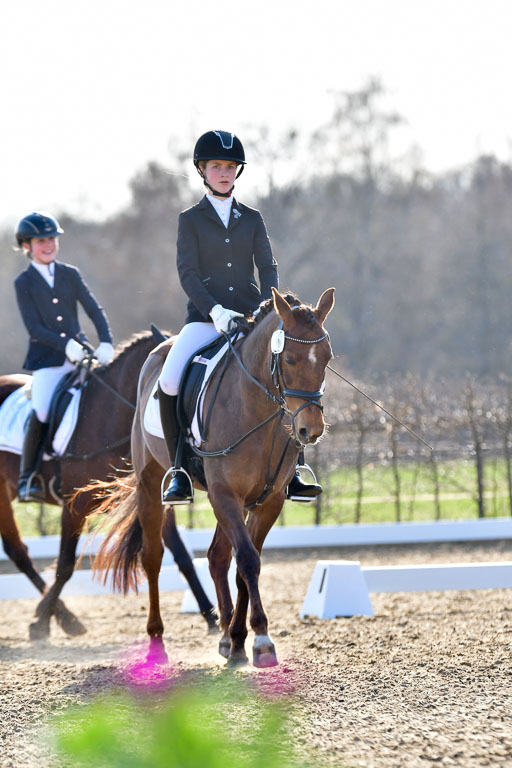 Reitsportzentrum Bremervörde | Dressurreiter WB _102 