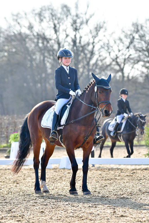 Reitsportzentrum Bremervörde | Dressurreiter WB _106 