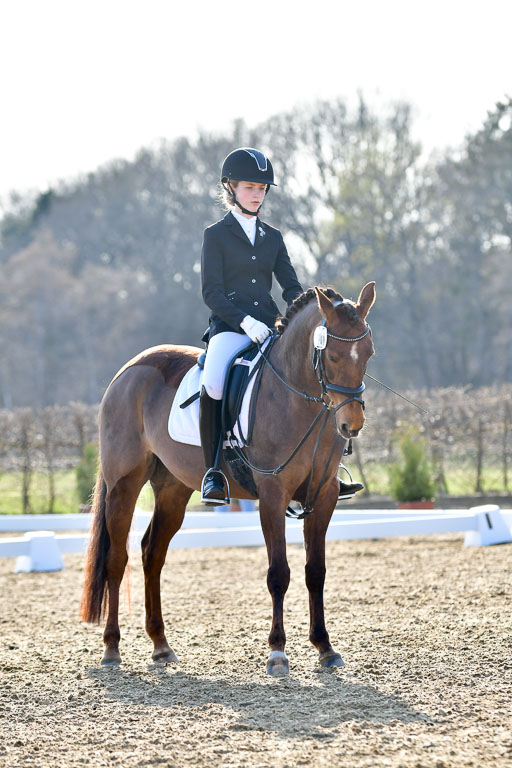 Reitsportzentrum Bremervörde | Dressurreiter WB _107 