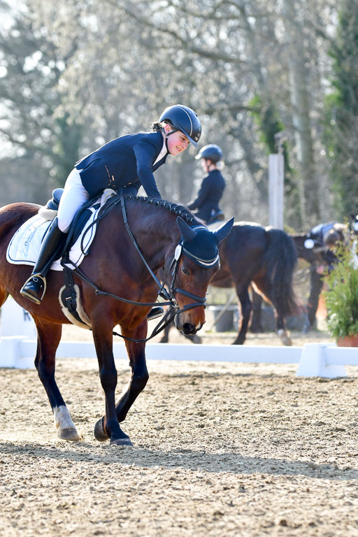 Reitsportzentrum Bremervörde | Dressurreiter WB _108 