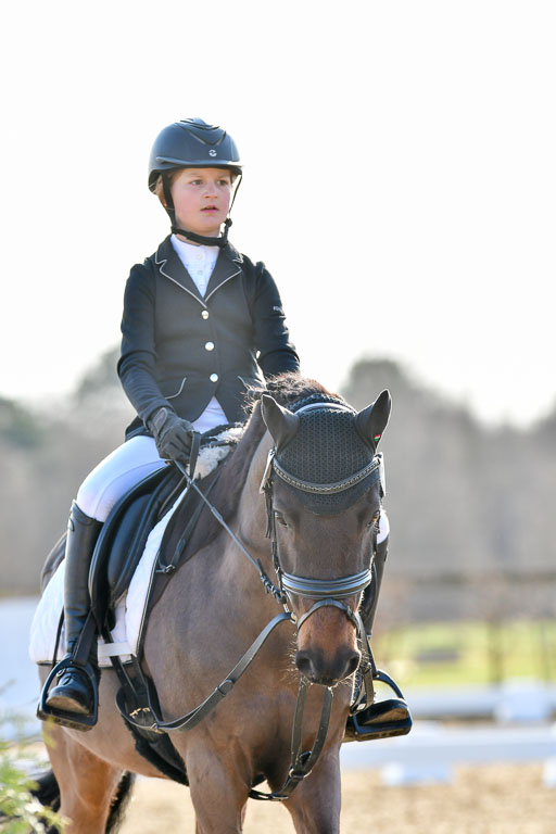 Reitsportzentrum Bremervörde | Dressurreiter WB _112 