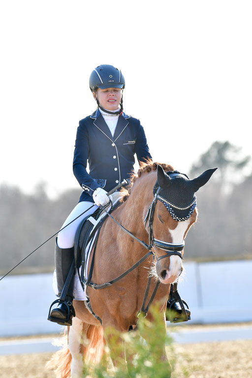 Reitsportzentrum Bremervörde | Dressurreiter WB _113 