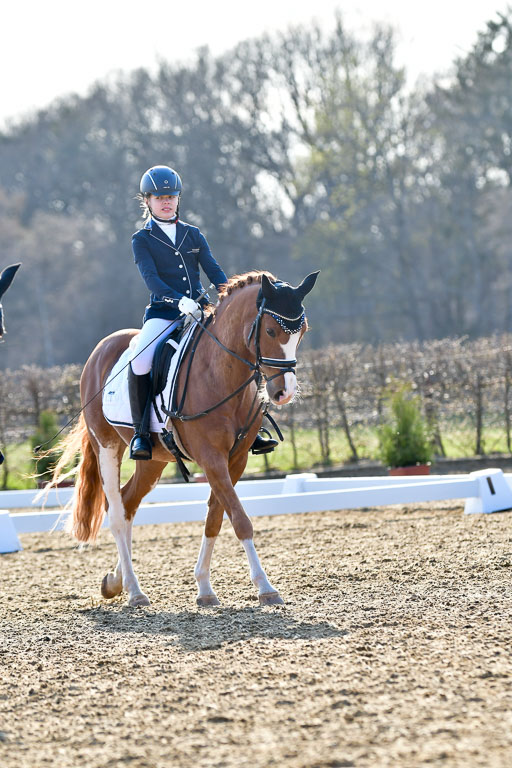 Reitsportzentrum Bremervörde | Dressurreiter WB _116 