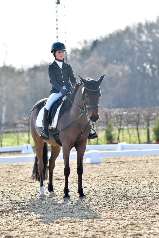 Reitsportzentrum Bremervörde | Dressurreiter WB _118 