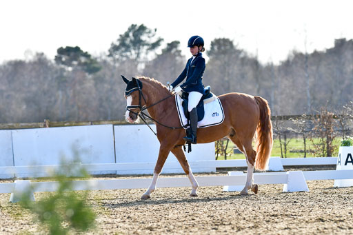 Reitsportzentrum Bremervörde | Dressurreiter WB _123 