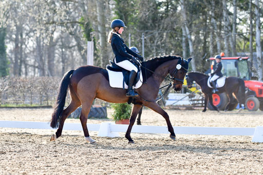 Reitsportzentrum Bremervörde | Dressurreiter WB _124 