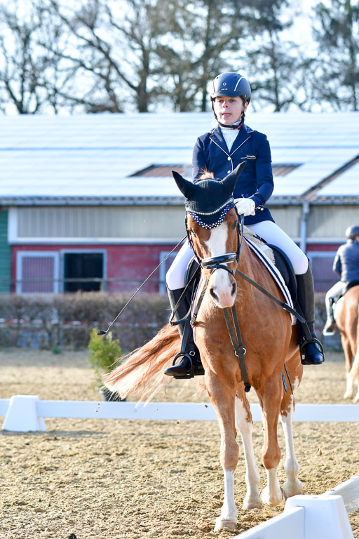 Reitsportzentrum Bremervörde | Dressurreiter WB _125 