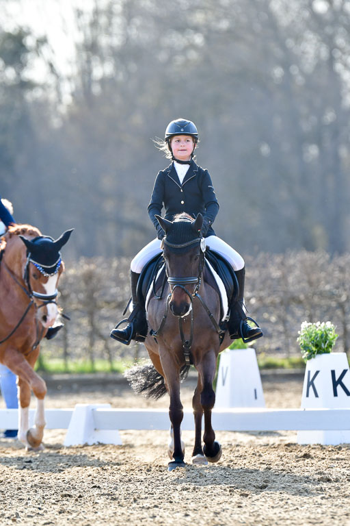 Reitsportzentrum Bremervörde | Dressurreiter WB _132 