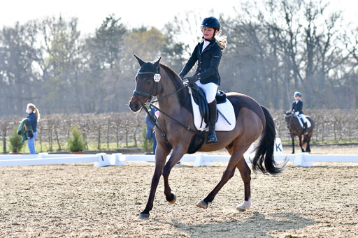 Reitsportzentrum Bremervörde | Dressurreiter WB _137 