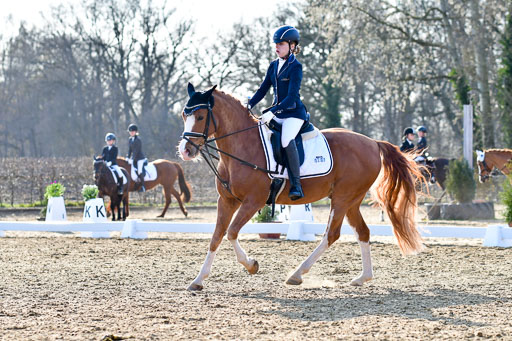 Reitsportzentrum Bremervörde | Dressurreiter WB _138 