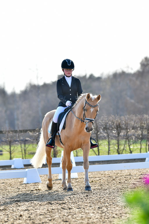 Reitsportzentrum Bremervörde | Dressurreiter WB _148 