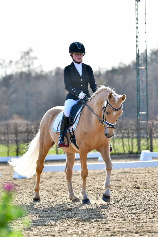 Reitsportzentrum Bremervörde | Dressurreiter WB _150 