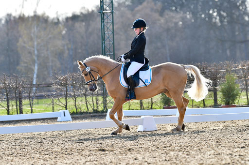 Reitsportzentrum Bremervörde | Dressurreiter WB _159 