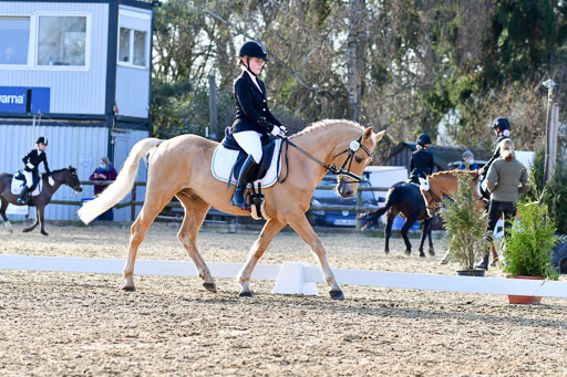 Reitsportzentrum Bremervörde | Dressurreiter WB _162 