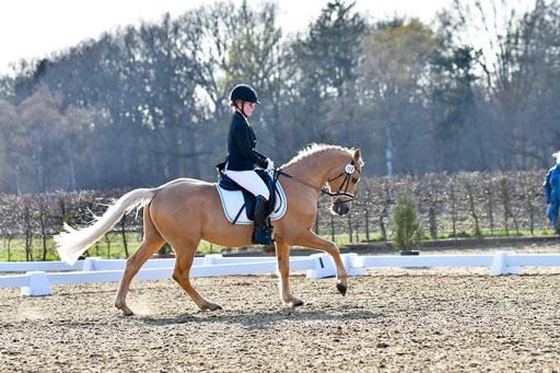 Reitsportzentrum Bremervörde | Dressurreiter WB _164 