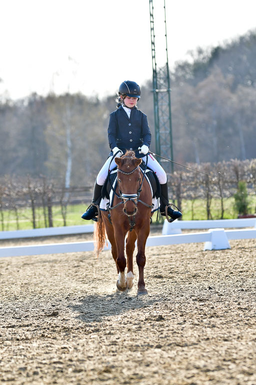 Reitsportzentrum Bremervörde | Dressurreiter WB _171 